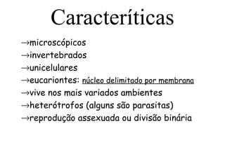 Caracteríticas
→microscópicos
→invertebrados
→unicelulares
→eucariontes: núcleo delimitado por membrana
→vive nos mais variados ambientes
→heterótrofos (alguns são parasitas)
→reprodução assexuada ou divisão binária

 