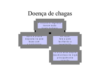 Doença de chagas
P r o t o z o á r io fla g e la d o
t r a n s m is s ã o
in s e t o b a r b e ir o
após a
d e p o s it a
fe z e s
o p ro to

p ic a d a
n a p e le
com
z o á r io

ao coçar
fe r e a p e le
fa c ilit a n d o a
p e n e tra ç ã o
1 0 a 2 0 a n o s d e p o is
c r e s c im e n t o o s d e ó r g ã o
p r in c ip a lm e n t e
c o ra ç ã o

 