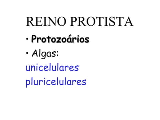 REINO PROTISTA
• Protozoários
• Algas:
unicelulares
pluricelulares

 