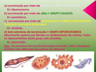 a) Locomoção por meio de flagelos = GRUPO FLAGELADOS. 
Ex: tripanossomo. 
b) Locomoção por meio de cílios = GRUPO CILIADOS. 
Ex: paramécio. 
c) Locomoção por meio de pseudópodes = GRUPO SARCODÍNEOS 
(também chamados Rizópodes). 
Ex: amebas. 
d) Sem estruturas de locomoção = GRUPO ESPOROZOÁRIOS 
(Movimento apenas por flexões ou deslizamento da célula). Todos 
os representantes deste grupo são parasitas. 
Ex: plasmódio. 
Obs.: As estruturas de locomoção (pseudópodes, cílios e flagelos) 
também são utilizadas na captura de alimento. 
 