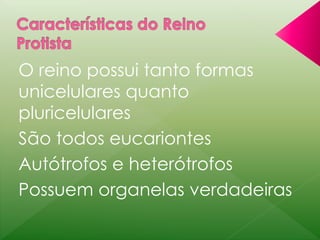 O reino possui tanto formas 
unicelulares quanto 
pluricelulares 
São todos eucariontes 
Autótrofos e heterótrofos 
Possuem organelas verdadeiras 
 