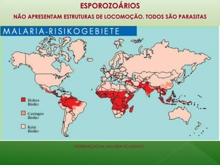 ESPOROZOÁRIOS 
NÃO APRESENTAM ESTRUTURAS DE LOCOMOÇÃO. TODOS SÃO PARASITAS 
DISTRIBUIÇÃO DA MALÁRIA NO MUNDO 
 