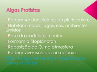 • Podem ser Unicelulares ou pluricelulares 
• Habitam mares, lagos, rios, ambientes 
úmidos 
• Base da cadeia alimentar 
• Formam o fitoplâncton 
• Reposição do O2 na atmosfera 
• Podem viver isoladas ou coloniais 
Obs:. Antigamente eram classificadas 
como vegetais 
 