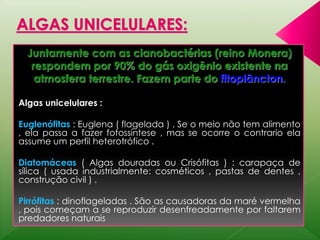 Juntamente com as cianobactérias (reino Monera) 
respondem por 90% do gás oxigênio existente na 
atmosfera terrestre. Fazem parte do fitoplâncton. 
Algas unicelulares : 
Euglenófitas : Euglena ( flagelada ) . Se o meio não tem alimento 
, ela passa a fazer fotossíntese , mas se ocorre o contrario ela 
assume um perfil heterotrófico . 
Diatomáceas ( Algas douradas ou Crisófitas ) : carapaça de 
sílica ( usada industrialmente: cosméticos , pastas de dentes , 
construção civil ) . 
Pirrófitas : dinoflageladas . São as causadoras da maré vermelha 
, pois começam a se reproduzir desenfreadamente por faltarem 
predadores naturais 
 