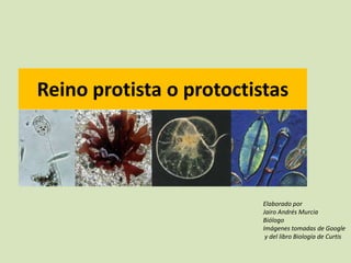 Reino protista o protoctistas
Elaborado por
Jairo Andrés Murcia
Biólogo
Imágenes tomadas de Google
y del libro Biología de Curtis
 
