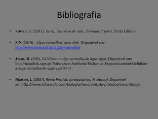 Bibliografia
•

Silva et al, (2011), Terra, Universo de vida. Biologia 1ª parte, Porto Editora

•

S/N (2010), Algas vermelhas, meu club. Disponivel em:
http://www.meuclub.net/algas-vermelhas

•

Jesus, D. (S/D), Gelidium, a alga vermelha do ágar-ágar, Disponível em:
http://naturlink.sapo.pt/Natureza-e-Ambiente/Fichas-de-Especies/content/Gelidiuma-alga-vermelha-do-agar-agar?bl=1

•

Martins, L. (2007), Reino Protista (protozoários, Protozoa), Disponivel
em:http://www.infoescola.com/biologia/reino-protista-protozoarios-protozoa

 