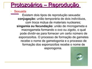 • Sexuada
Existem dois tipos de reprodução sexuada:
conjugação: união temporária de dois indivíduos,
com troca mútua de materiais nucleares;
singamia ou fecundação: união de microgameta e
macrogameta formando o ovo ou zigoto, o qual
pode dividir-se para fornecer um certo número de
esporozoítos. O processo de formação de gametes
recebe o nome de gametogonia e o processo de
formação dos esporozoítos recebe o nome de
esporogonia.
Protozoários – ReproduçãoProtozoários – Reprodução
 