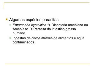 Algumas espécies parasitas
 Entamoeba hystolitica  Disenteria amebiana ou
Amebíase  Parasita do intestino grosso
humano
 Ingestão de cistos através de alimentos e água
contaminados
 