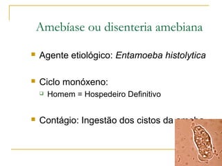 Amebíase ou disenteria amebiana
 Agente etiológico: Entamoeba histolytica
 Ciclo monóxeno:
 Homem = Hospedeiro Definitivo
 Contágio: Ingestão dos cistos da ameba
 