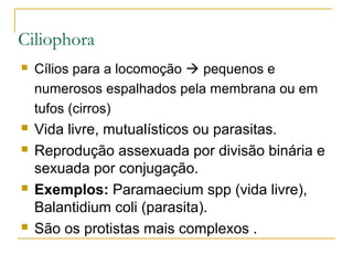 Ciliophora
 Cílios para a locomoção  pequenos e
numerosos espalhados pela membrana ou em
tufos (cirros)
 Vida livre, mutualísticos ou parasitas.
 Reprodução assexuada por divisão binária e
sexuada por conjugação.
 Exemplos: Paramaecium spp (vida livre),
Balantidium coli (parasita).
 São os protistas mais complexos .
 