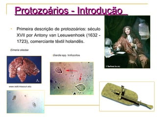 • Primeira descrição de protozoários: século
XVII por Antony van Leeuwenhoek (1632 -
1723), comerciante têxtil holandês.
Protozoários - IntroduçãoProtozoários - Introdução
•www.radil.missouri.edu
•Eimeria stiedae
•Giardia spp. trofozoítos
 