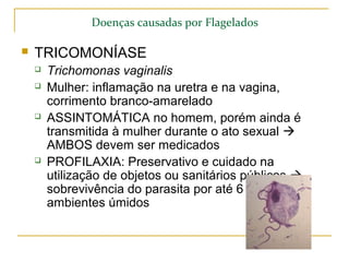 Doenças causadas por Flagelados
 TRICOMONÍASE
 Trichomonas vaginalis
 Mulher: inflamação na uretra e na vagina,
corrimento branco-amarelado
 ASSINTOMÁTICA no homem, porém ainda é
transmitida à mulher durante o ato sexual 
AMBOS devem ser medicados
 PROFILAXIA: Preservativo e cuidado na
utilização de objetos ou sanitários públicos 
sobrevivência do parasita por até 6 horas em
ambientes úmidos
 