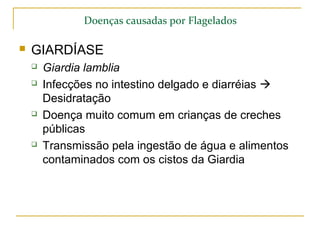 Doenças causadas por Flagelados
 GIARDÍASE
 Giardia lamblia
 Infecções no intestino delgado e diarréias 
Desidratação
 Doença muito comum em crianças de creches
públicas
 Transmissão pela ingestão de água e alimentos
contaminados com os cistos da Giardia
 