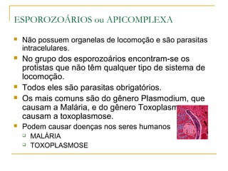 ESPOROZOÁRIOS ou APICOMPLEXA
 Não possuem organelas de locomoção e são parasitas
intracelulares.
 No grupo dos esporozoários encontram-se os
protistas que não têm qualquer tipo de sistema de
locomoção.
 Todos eles são parasitas obrigatórios.
 Os mais comuns são do gênero Plasmodium, que
causam a Malária, e do gênero Toxoplasma, que
causam a toxoplasmose.
 Podem causar doenças nos seres humanos
 MALÁRIA
 TOXOPLASMOSE
 