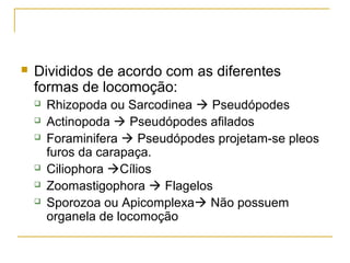  Divididos de acordo com as diferentes
formas de locomoção:
 Rhizopoda ou Sarcodinea  Pseudópodes
 Actinopoda  Pseudópodes afilados
 Foraminifera  Pseudópodes projetam-se pleos
furos da carapaça.
 Ciliophora Cílios
 Zoomastigophora  Flagelos
 Sporozoa ou Apicomplexa Não possuem
organela de locomoção
 