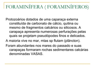FORAMINÍFERA ( FORAMINÍFEROS)
Protozoários dotados de uma caparaça externa
constituída de carbonato de cálcio, quitina ou
mesmo de fragmentos calcários ou silicosos. A
carapaça apresenta numerosas perfurações pelas
quais se projetam pseudópodes finos e delicados.
A maioria vive no mar, mtas sp flutam (plâncton).
Foram abundantes nos mares do passado e suas
carapaças formaram rochas sedimentares calcárias
denominadas VASAS.
 