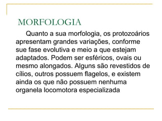 MORFOLOGIA
Quanto a sua morfologia, os protozoários
apresentam grandes variações, conforme
sue fase evolutiva e meio a que estejam
adaptados. Podem ser esféricos, ovais ou
mesmo alongados. Alguns são revestidos de
cílios, outros possuem flagelos, e existem
ainda os que não possuem nenhuma
organela locomotora especializada
 