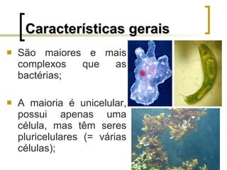 Características gerais São maiores e mais complexos que as bactérias; A maioria é unicelular, possui apenas uma célula, mas têm seres pluricelulares (= várias células); 