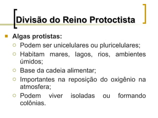 Divisão do Reino Protoctista Algas protistas: Podem ser unicelulares ou pluricelulares; Habitam mares, lagos, rios, ambientes úmidos; Base da cadeia alimentar; Importantes na reposição do oxigênio na atmosfera; Podem viver isoladas ou formando colônias. 