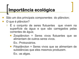 Importância ecológica São um dos principais componentes  do plâncton; O que é plâncton? É o conjunto de seres flutuantes  que vivem na superfície da água e que são carregados pelas correntes de água; Zooplâncton = Seres vivos flutuantes que se alimentam de outros seres vivos.  Ex.: Protozoários. Fitoplâncton = Seres vivos que se alimentam de substâncias que eles mesmos produzem.  Ex.: as algas. 