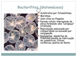 Bacilarifitas (diatomáceas)
             Autótrofos por fotossíntese.
             Marinhas.
             Sem cílios ou flagelos.
             Parede celular impregnada de
             
              sílica formando uma “carapaça”
              (frústula).
             Reprodução assexuada por
              cissiparidade ou sexuada por
              conjugação.
             Diatomitos: depósitos de
              frústulas usados na fabricação
              de cosméticos, filtros,
              cerâmicas, pastas de dente.
 