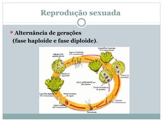 Reprodução sexuada

 Alternância de gerações
(fase haploide e fase diploide).
 