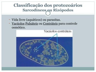 Classificação dos protozoários
         Sarcodíneos ou Rizópodos

• Vida livre (aquáticos) ou parasitas.
• Vacúolos Pulsáteis ou Contráteis para controle
  osmótico.
 
