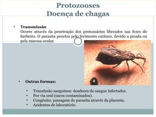 Protozooses
                      Doença de chagas
•       Transmissão
        Ocorre através da penetração dos protozoários liberados nas fezes do
        barbeiro. O parasita penetra pelo ferimento cutâneo, devido a picada ou
        pela mucosa ocular.




    •     Outras formas:

           •   Transfusão sanguínea: doadores de sangue infectados.
           •   Por via oral (sucos contaminados).
           •   Congênita: passagem do parasita através da placenta.
           •   Acidentes de laboratório.
 