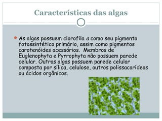 Características das algas


 As algas possuem clorofila a como seu pigmento
 fotossintético primário, assim como pigmentos
 carotenóides acessórios. Membros de
 Euglenophyta e Pyrrophyta não possuem parede
 celular. Outras algas possuem parede celular
 composta por sílica, celulose, outros polissacarídeos
 ou ácidos orgânicos.
 