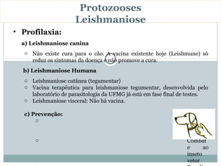 Protozooses
                     Leishmaniose
• Profilaxia:
  a) Leishmaniose canina
  o Não existe cura para o cão. A vacina existente hoje (Leishmune) só
    reduz os sintomas da doença e não promove a cura.
  b) Leishmaniose Humana
  o Leishmaniose cutânea (tegumentar)
  o Vacina terapêutica para leishmaniose tegumentar, desenvolvida pelo
    laboratório de parasitologia da UFMG já está em fase final de testes.
  o Leishmaniose visceral: Não há vacina.

  c) Prevenção:
      o                                                         Tratame
                                                                nto dos
                                                                doentes
      o                                                         Combat
                                                                e      ao
                                                                inseto
                                                                vetor
 