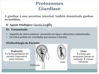 Protozooses
                                Giardíase
A giardíase é uma parasitose intestinal, também denominada giardose
ou lamblíase.
I) Agente Etiológico: Giardia lamblia
II) Transmissão
o Ingestão de cistos maduros presentes em água e alimentos contaminados.
o Os cistos podem ser veiculados por moscas e baratas.

III)Morfologia do Parasita


      Trofozoíto                                                Cisto
É a forma patogênica do                                     É a forma que
 parasita, responsável                                   permanece latente no
     pelos sintomas.                                     ambiente. É a forma
                                              Cisto          infectante.
                          Trofozoíto
 