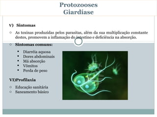 Protozooses
                            Giardíase

V) Sintomas
o As toxinas produzidas pelos parasitas, além da sua multiplicação constante
  destes, promovem a inflamação do intestino e deficiência na absorção.
o Sintomas comuns:
       Diarréia aquosa
       Dores abdominais
       Má absorção
       Vômitos
       Perda de peso

VI)Profilaxia
o Educação sanitária
o Saneamento básico
 