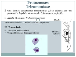Protozooses
                      Tricomoníase
É uma doença sexualmente transmissível (DST) causada por um
  protozoário flagelado denominado Trichomonas vaginalis.

I) Agente Etiológico: Trichomonas vaginalis
                                                     Flagelos
Parasita monoxêno: O homem é o único hospedeiro.

II) Transmissão
o Através do contato sexual
                                                   Membrana
o Compartilhamento de roupas íntimas
                                                   ondulante
 