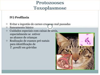 Protozooses
                     Toxoplasmose
  IV) Profilaxia

o Evitar a ingestão de carnes cruas ou mal passadas
o Saneamento básico
o Cuidados especiais com caixas de areia,
  especialmente se estiver
  ao alcance de crianças
o Realização de exames pré-natais
  para identificação de
  T. gondii em grávidas
 