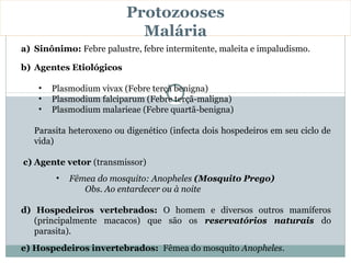 Protozooses
                            Malária
a) Sinônimo: Febre palustre, febre intermitente, maleita e impaludismo.

b) Agentes Etiológicos

    •   Plasmodium vivax (Febre terçã benigna)
    •   Plasmodium falciparum (Febre terçã-maligna)
    •   Plasmodium malarieae (Febre quartã-benigna)

   Parasita heteroxeno ou digenético (infecta dois hospedeiros em seu ciclo de
   vida)

c) Agente vetor (transmissor)
         •   Fêmea do mosquito: Anopheles (Mosquito Prego)
                Obs. Ao entardecer ou à noite

d) Hospedeiros vertebrados: O homem e diversos outros mamíferos
   (principalmente macacos) que são os reservatórios naturais do
   parasita).
e) Hospedeiros invertebrados: Fêmea do mosquito Anopheles.
 