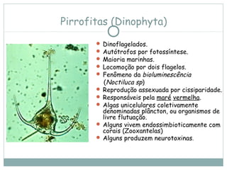 Pirrofitas (Dinophyta)
        Dinoflagelados.
        Autótrofos por fotossíntese.
        Maioria marinhas.
        Locomoção por dois flagelos.
        Fenômeno da bioluminescência
         (Noctiluca sp)
        Reprodução assexuada por cissiparidade.
        Responsáveis pela maré vermelha.
        Algas unicelulares coletivamente
         denominadas plâncton, ou organismos de
         livre flutuação.
        Alguns vivem endossimbioticamente com
         corais (Zooxantelas)
        Alguns produzem neurotoxinas.
 