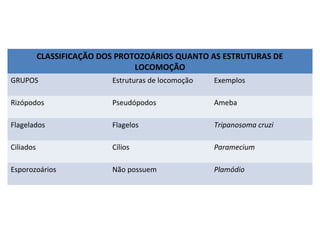 CLASSIFICAÇÃO DOS PROTOZOÁRIOS QUANTO AS ESTRUTURAS DE
LOCOMOÇÃO
GRUPOS

Estruturas de locomoção

Exemplos

Rizópodos

Pseudópodos

Ameba

Flagelados

Flagelos

Tripanosoma cruzi

Ciliados

Cílios

Paramecium

Esporozoários

Não possuem

Plamódio

 