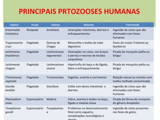 PRINCIPAIS PRTOZOOSES HUMANAS
Espécie

Grupo

Doença

Sintomas

Transmissão

Entamoeba
histolytica

Rizópode

Amebíase

Ulcerações intestinais, diarreia e
enfraquecimento

Ingestão de cistos que são
eliminados com fezes
humanas

Trypanosoma
cruzi

Flagelado

Doença de
Chagas

Miocardite e lesões do tubo
digestório

Fezes do inseto Triatoma sp.
(barbeiro)

Leishmania
brasiliensis

Flagelado

Leishmaniose
tegumentar

Ulcerações no rosto, nos braços
e pernas e necrose de tecidos
conjuntivos

Picada do mosquito-palha ou
birigui

Leishmania
chagasi

Flagelado

Leishmaniose
viceral

Hipertrofia do baço e do fígado,
febre e enfraquecimento

Picada do mosquito-palha ou
birigui

Trichomonas
vaginalis

Flagelado

Tricomoníase

Vaginite, uretrite e corrimento

Relação sexual ou contato com
toalha molhada contaminada.

Giardia
lamblia

Flagelado

Giardíase

Colite com dores intestinais e
diarreia

Ingestão de cistos que são
eliminados com fezes
humanas

Plasmodium
vivax

Esporozoário

Malária

Febre, anemia e lesões no baço,
fígado e medula óssea

Picada da fêmea do mosquito
do gênero Anopheles

Toxoplasma
gondii

Esporozoário

Toxoplasmos
e

Problemas no desenvolvimento
fetal como cegueira,
complicações neurológicas e

Ingestão de cistos presentes
nas fezes de gatos.

 