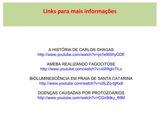 Links para mais informações

A HISTÓRIA DE CARLOS CHAGAS
http://www.youtube.com/watch?v=jo7e95WyGDE
AMEBA REALIZANDO FAGOCITOSE
http://www.youtube.com/watch?v=aWItglvTiLc
BIOLUMINESCÊNCIA EM PRAIA DE SANTA CATARINA
http://www.youtube.com/watch?v=o5LZq-tgKx8
DOENÇAS CAUSADAS POR PROTOZOÁRIOS
http://www.youtube.com/watch?v=CGn9dky_fMM

 