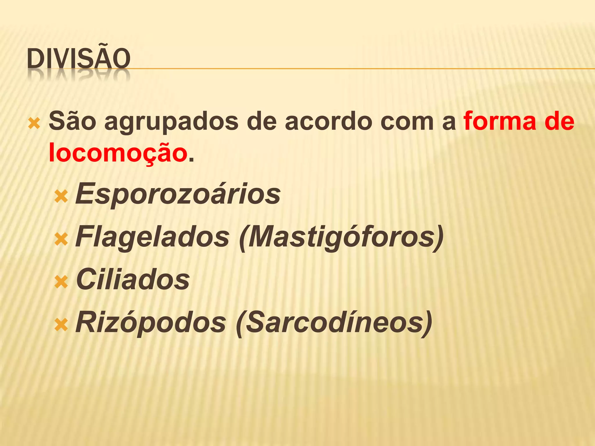 DIVISÃO
São agrupados de acordo com a forma de
locomoção.
Esporozoários
Flagelados (Mastigóforos)
Ciliados
Rizópodos (Sarcodíneos)