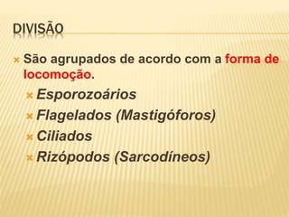 DIVISÃO
 São agrupados de acordo com a forma de
locomoção.
 Esporozoários
 Flagelados (Mastigóforos)
 Ciliados
 Rizópodos (Sarcodíneos)
 