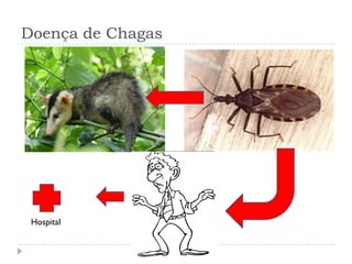 Doença de Chagas
Hospital
 