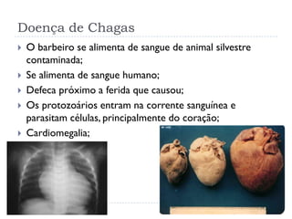 Doença de Chagas
 O barbeiro se alimenta de sangue de animal silvestre
contaminada;
 Se alimenta de sangue humano;
 Defeca próximo a ferida que causou;
 Os protozoários entram na corrente sanguínea e
parasitam células, principalmente do coração;
 Cardiomegalia;
 