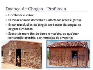 Doença de Chagas - Profilaxia
 Combater o vetor;
 Eliminar animais domésticos infectados (cães e gatos);
 Evitar transfusões de sangue em bancos de sangue de
origem duvidosos;
 Substituir moradias de barro e madeira ou qualquer
construção precária, por moradias de alvenaria;
 