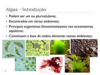 Algas - Introdução
 Podem ser uni ou pluricelulares;
 Encontrados em vários ambientes;
 Principais organismos fotossintetizantes nos ecossistemas
aquáticos;
 Constituem a base da cadeia alimentar nesses ambientes;
 