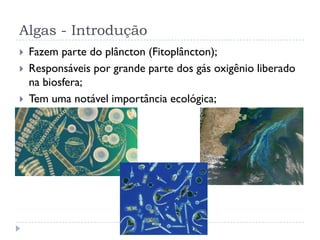 Algas - Introdução
 Fazem parte do plâncton (Fitoplâncton);
 Responsáveis por grande parte dos gás oxigênio liberado
na biosfera;
 Tem uma notável importância ecológica;
 