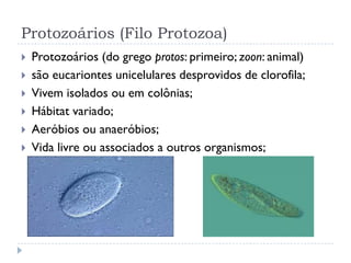 Protozoários (Filo Protozoa)
 Protozoários (do grego protos: primeiro; zoon: animal)
 são eucariontes unicelulares desprovidos de clorofila;
 Vivem isolados ou em colônias;
 Hábitat variado;
 Aeróbios ou anaeróbios;
 Vida livre ou associados a outros organismos;
 
