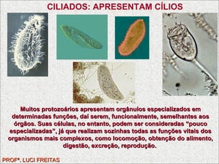 PROFª. LUCI FREITAS CILIADOS: APRESENTAM CÍLIOS Muitos protozoários apresentam orgânulos especializados em determinadas funções, daí serem, funcionalmente, semelhantes aos órgãos. Suas células, no entanto, podem ser consideradas “pouco especializadas”, já que realizam sozinhas todas as funções vitais dos organismos mais complexos, como locomoção, obtenção do alimento, digestão, excreção, reprodução.  