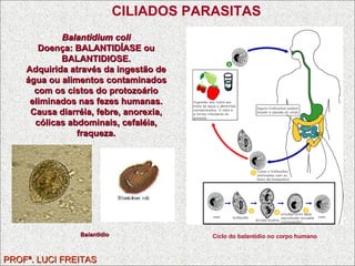 PROFª. LUCI FREITAS CILIADOS PARASITAS Balantidium coli Doença: BALANTIDÍASE ou BALANTIDIOSE. Adquirida através da ingestão de água ou alimentos contaminados com os cistos do protozoário eliminados nas fezes humanas. Causa diarréia, febre, anorexia, cólicas abdominais, cefaléia, fraqueza. Balantídio Ciclo do balantídio no corpo humano 