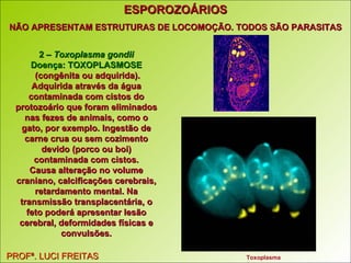 ESPOROZOÁRIOS NÃO APRESENTAM ESTRUTURAS DE LOCOMOÇÃO. TODOS SÃO PARASITAS PROFª. LUCI FREITAS 2 –  Toxoplasma gondii Doença: TOXOPLASMOSE (congênita ou adquirida). Adquirida através da água contaminada com cistos do protozoário que foram eliminados nas fezes de animais, como o gato, por exemplo. Ingestão de carne crua ou sem cozimento devido (porco ou boi) contaminada com cistos. Causa alteração no volume craniano, calcificações cerebrais, retardamento mental. Na transmissão transplacentária, o feto poderá apresentar lesão cerebral, deformidades físicas e convulsões. Toxoplasma   